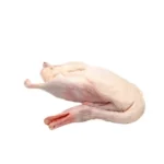 Duck With Head (2kg+)