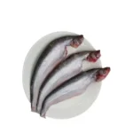 Pabda Fish Frozen Block (500g)